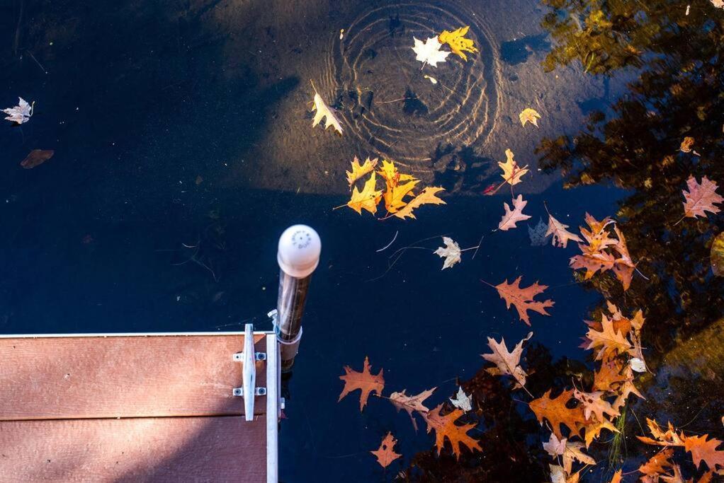Fall Getaway Resort-3 King Suites, Dog-Friendly Seeley エクステリア 写真